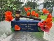 [Jennifer Nelson Hortman Memorial image]